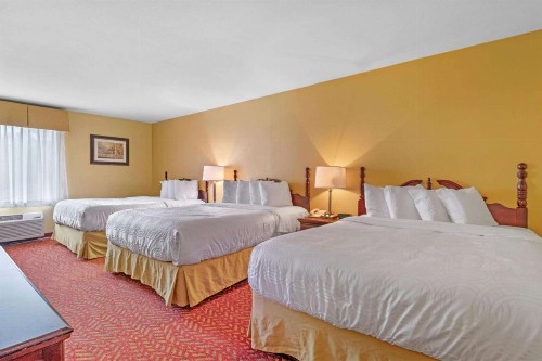 Best Western Clearlake Plaza - image 5
