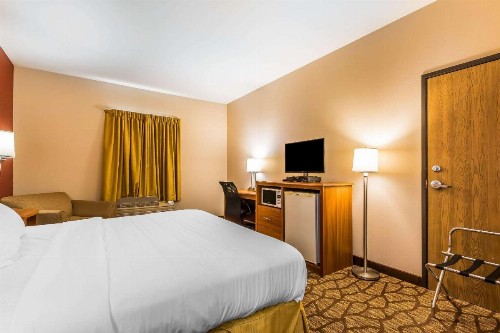 Quality Inn & Suites Chesterfield Village - image 10
