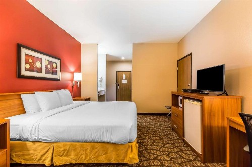Quality Inn & Suites Chesterfield Village - image 14