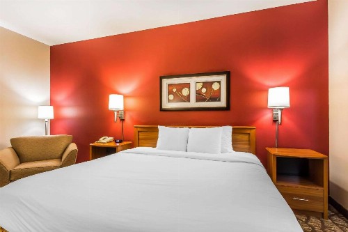 Quality Inn & Suites Chesterfield Village - image 15