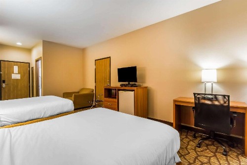 Quality Inn & Suites Chesterfield Village - image 17