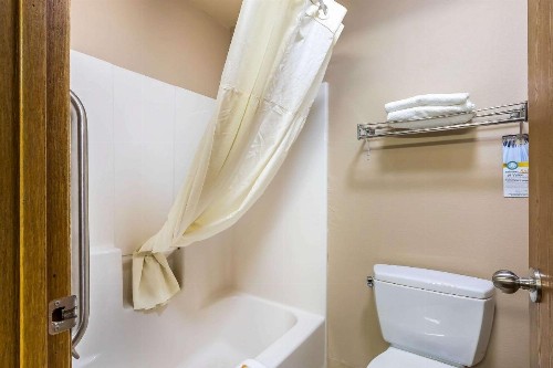 Quality Inn & Suites Chesterfield Village - image 23