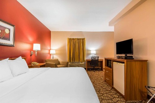 Quality Inn & Suites Chesterfield Village - image 24