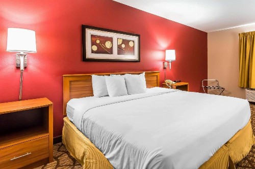Quality Inn & Suites Chesterfield Village - image 27
