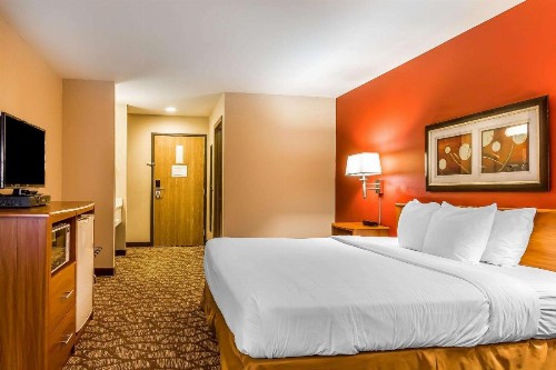 Quality Inn & Suites Chesterfield Village - image 30
