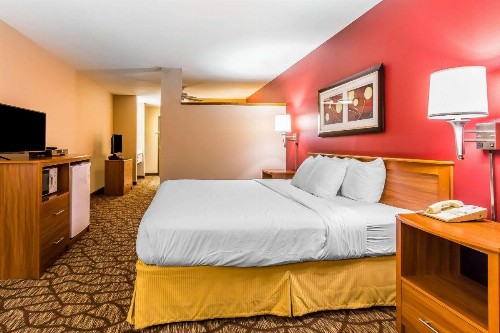 Quality Inn & Suites Chesterfield Village - image 33