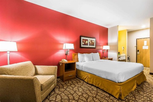 Quality Inn & Suites Chesterfield Village - image 8