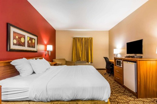 Quality Inn & Suites Chesterfield Village - image 9