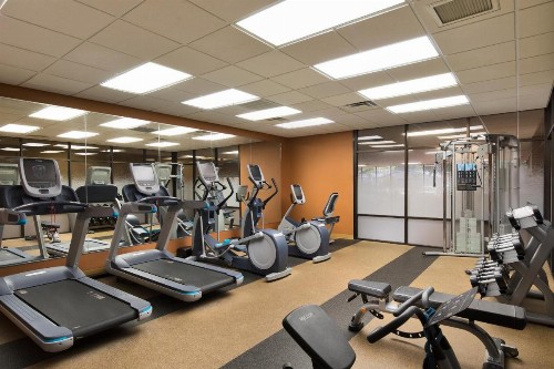 University Plaza Hotel - image 10