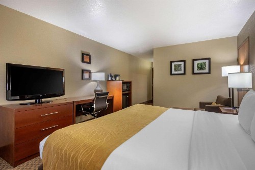 Comfort Inn & Suites Springfield I-44 - image 8