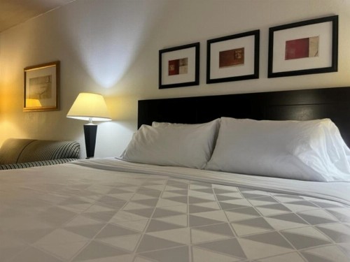 Holiday Inn Hotel & Suites Springfield an IHG Hotel - image 35