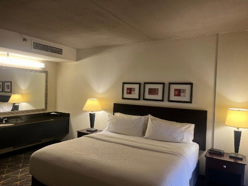 Holiday Inn Hotel & Suites Springfield an IHG Hotel - image 44
