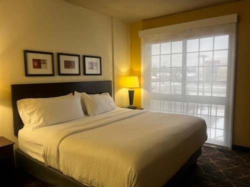 Holiday Inn Hotel & Suites Springfield an IHG Hotel - image 8