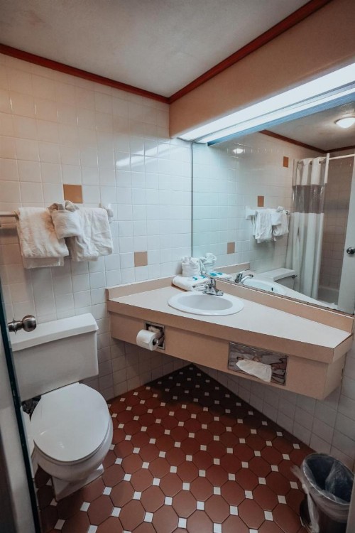 Lamplighter Inn and Suites - North - image 17