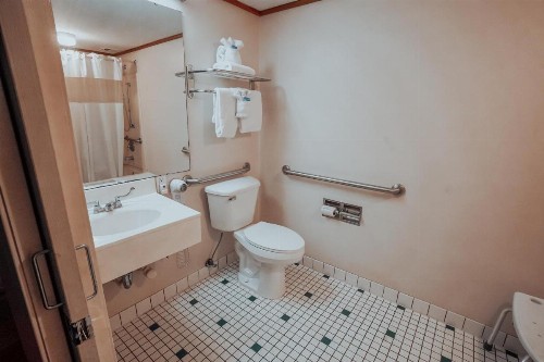 Lamplighter Inn and Suites - North - image 27