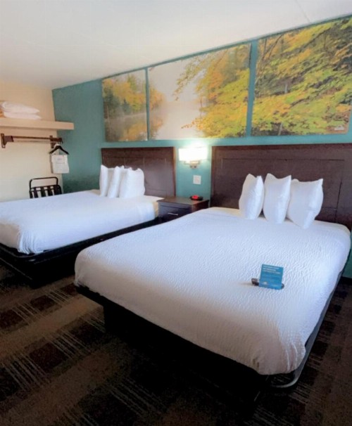 Days Inn & Suites by Wyndham Springfield on I-44 - image 14