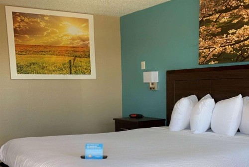 Days Inn & Suites by Wyndham Springfield on I-44 - image 26