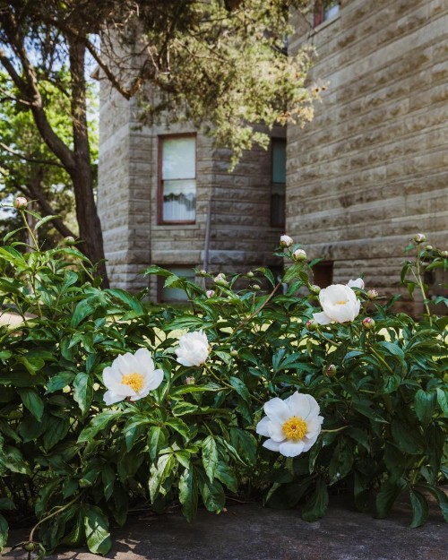 The Mansion at Elfindale - image 24
