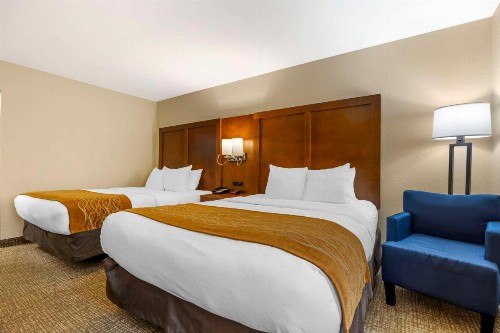 Comfort Inn South - Springfield - image 13