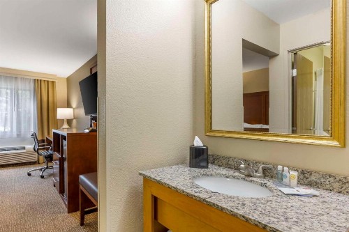 Comfort Inn South - Springfield - image 29