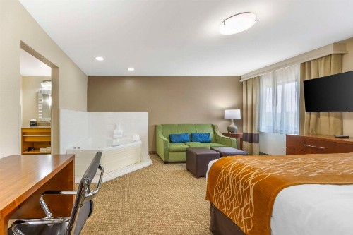 Comfort Inn South - Springfield - image 3