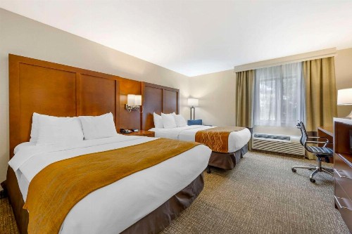 Comfort Inn South - Springfield - image 4