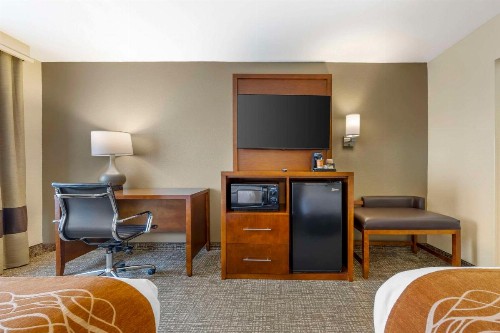Comfort Inn South - Springfield - image 8