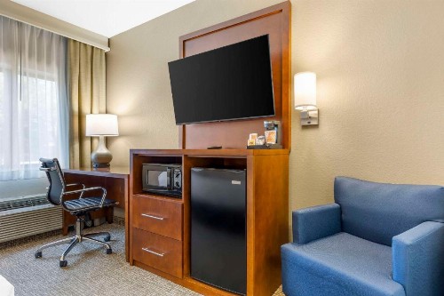 Comfort Inn South - Springfield - image 9