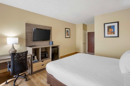 Best Western Plus Springfield Airport Inn - image 15