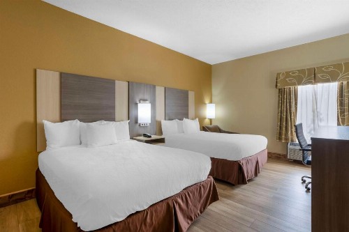 Best Western Plus Springfield Airport Inn - image 20