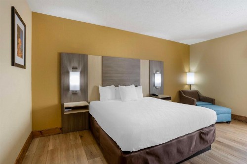 Best Western Plus Springfield Airport Inn - image 23