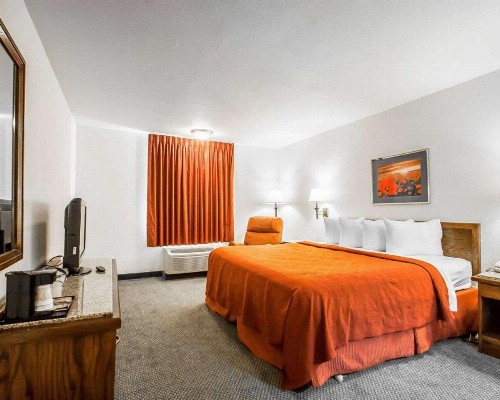 Quality Inn & Suites North Springfield - image 12