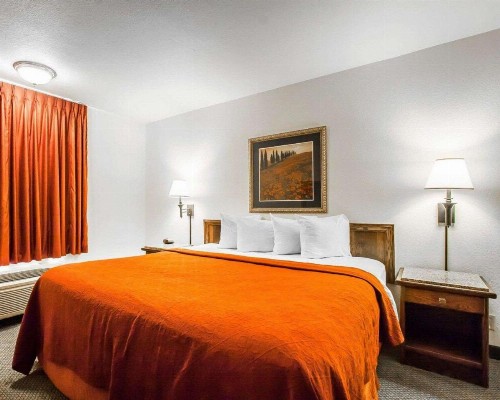 Quality Inn & Suites North Springfield - image 15