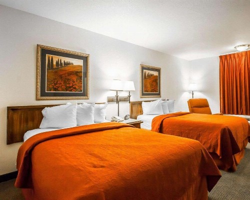 Quality Inn & Suites North Springfield - image 16