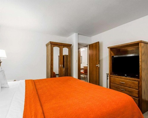 Quality Inn & Suites North Springfield - image 18