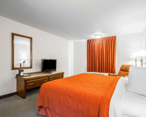 Quality Inn & Suites North Springfield - image 21