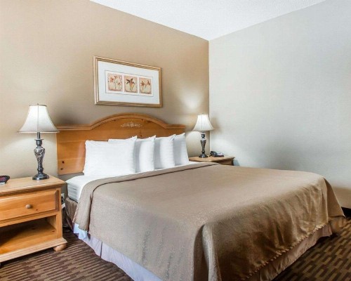 Quality Inn South Springfield - image 15