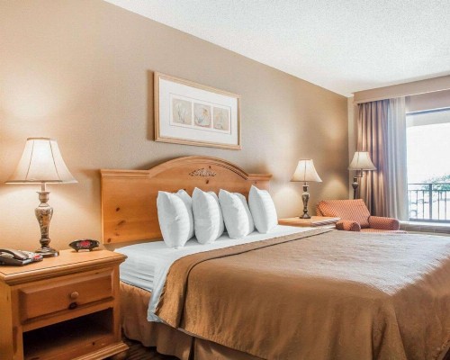 Quality Inn South Springfield - image 26
