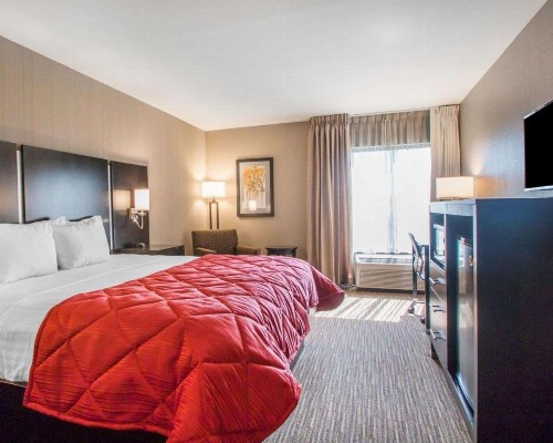Greenstay Inn & Suites Court View - image 3