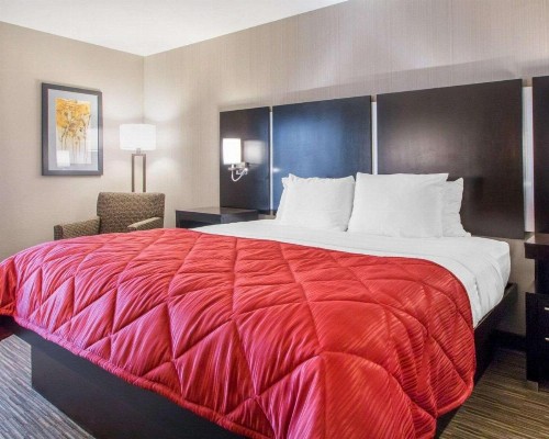 Greenstay Inn & Suites Court View - image 32