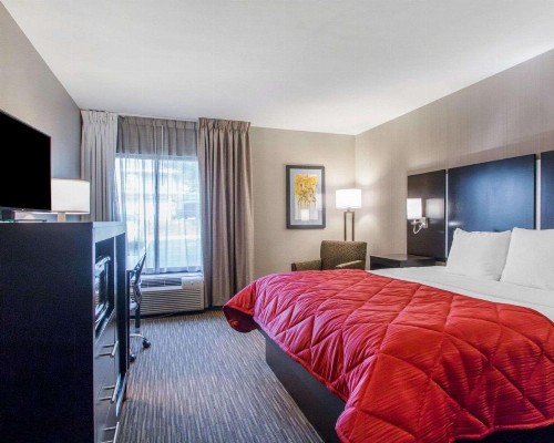 Greenstay Inn & Suites Court View - image 4