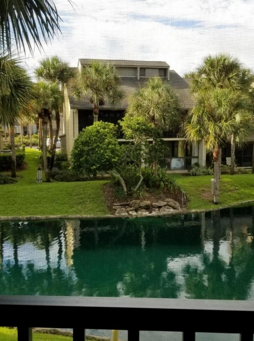 Island Life - image 3