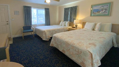 Carlton House Motel and Suites - image 34