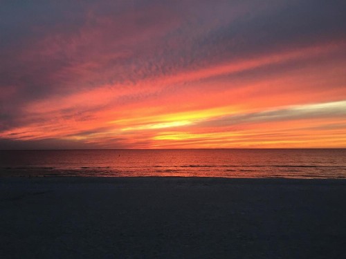 Sabal Palms Inn - image 12