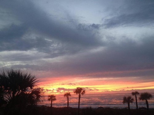 Sabal Palms Inn - image 22