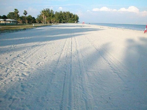 Sabal Palms Inn - image 23