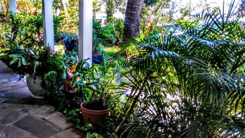 Boca Ciega Bay Apartment - image 6