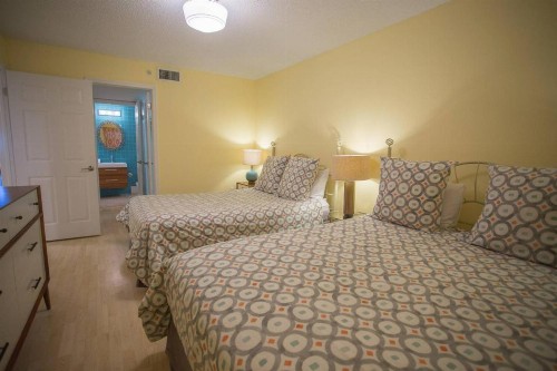 503 - Las Brisas - image 6