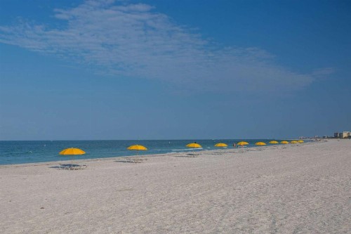 201 - Palms of Treasure Island - image 3