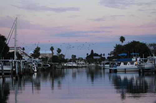 305 - Skyline - image 26